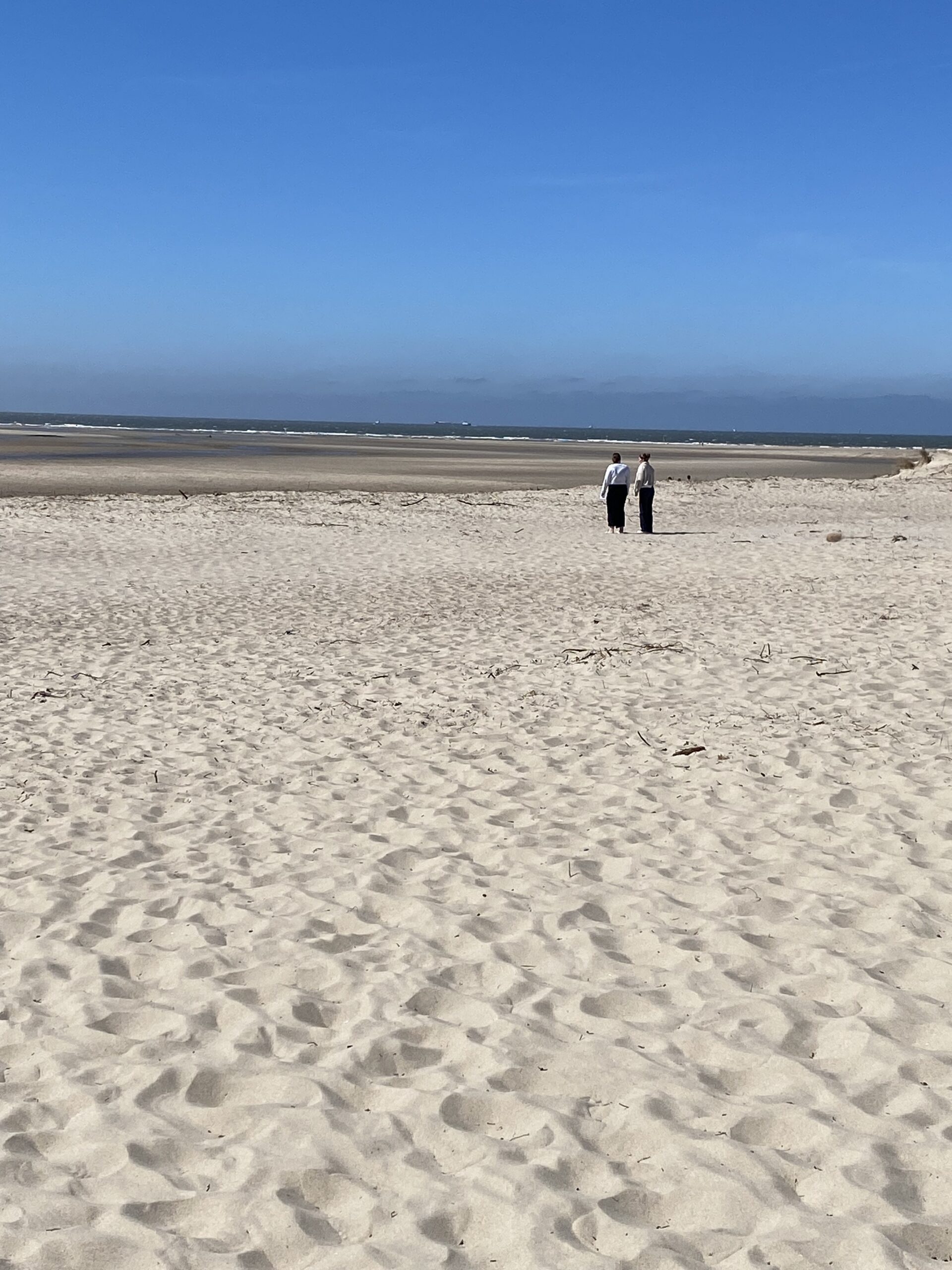 natuurcoaching op het strand