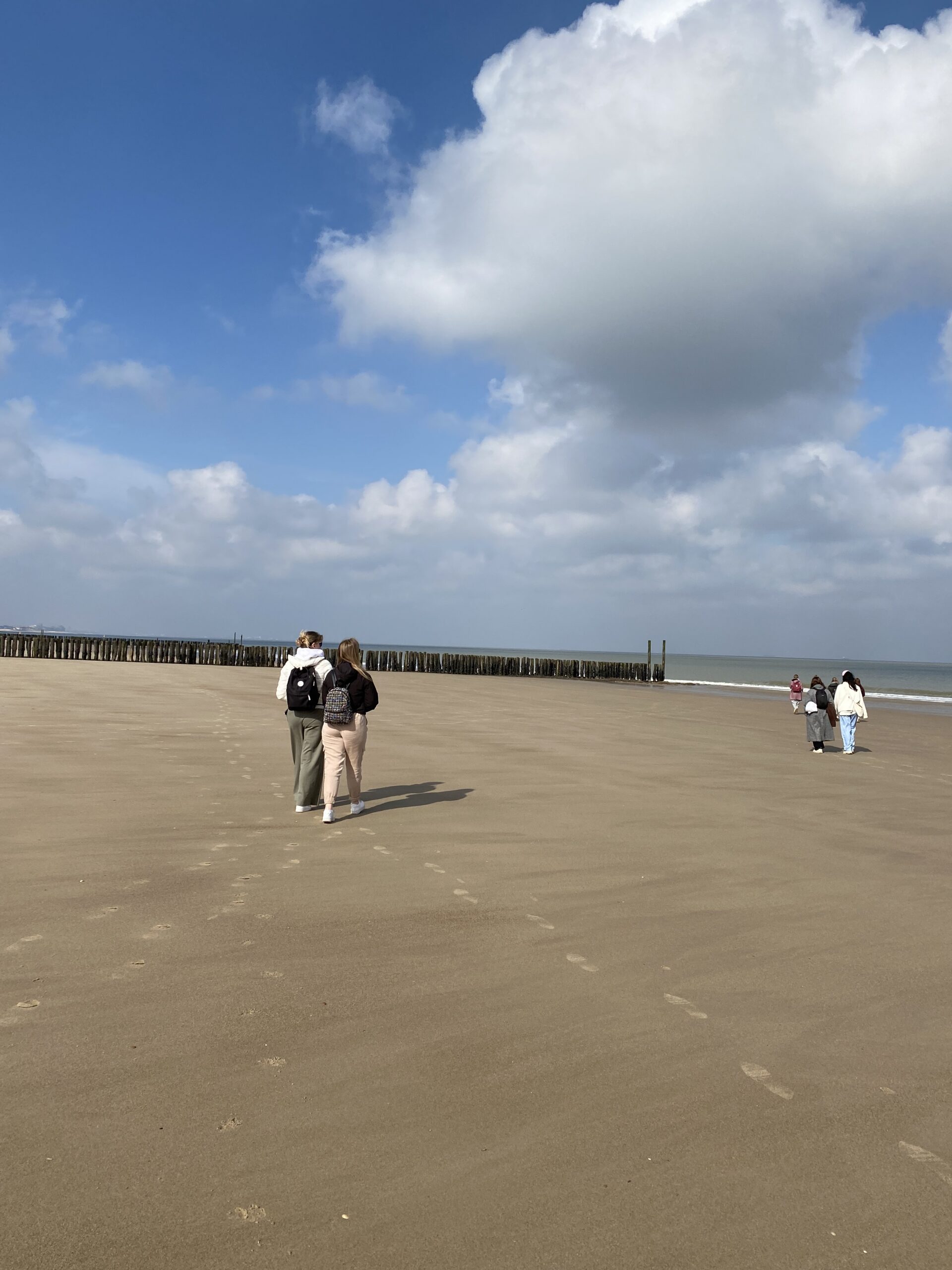 wandelen langs het strand